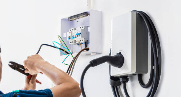 Best Home Electrical Repair  in Mountain Lake, MN